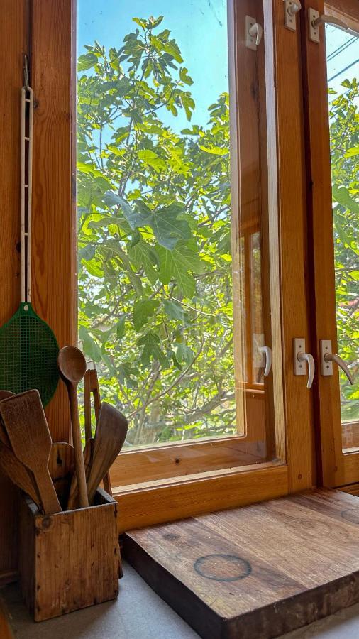 Camping Kromidovo Εξωτερικό φωτογραφία